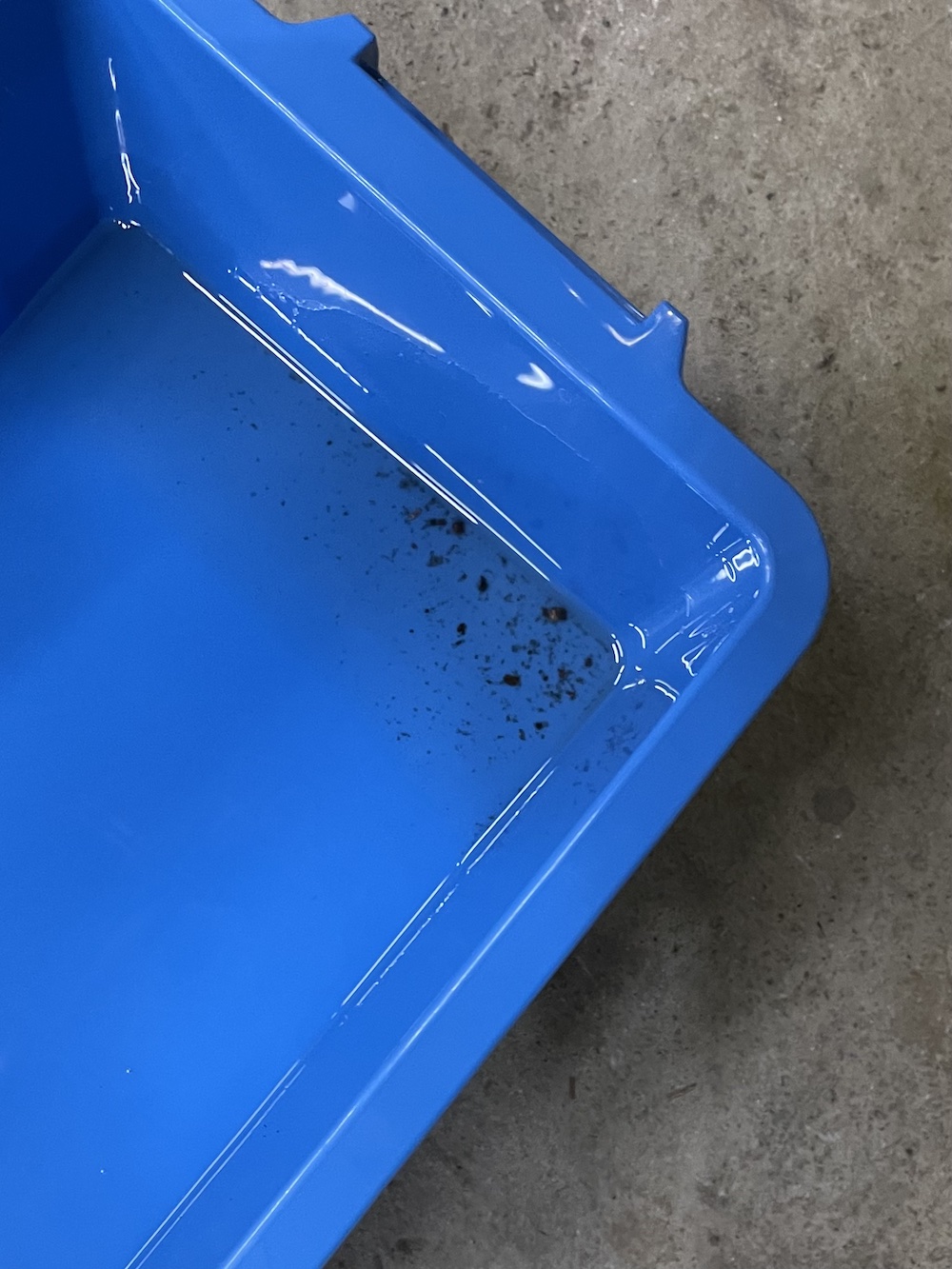 タンクに残ったゴミ
